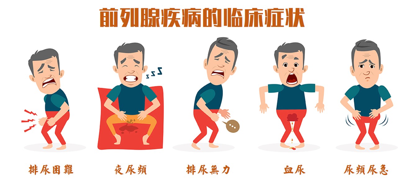 中老年男性的羁绊--前列腺疾病_前列腺炎_治疗方式_日常注意事项 - 好大夫在线