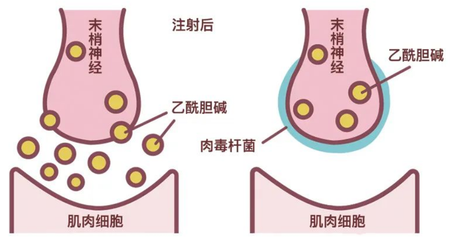 Alipay