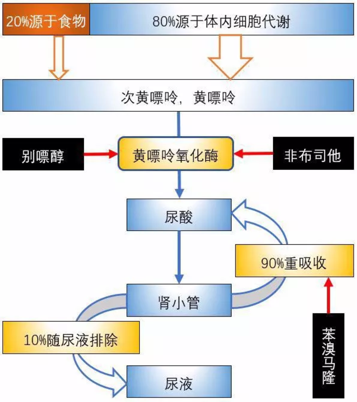 图文图片