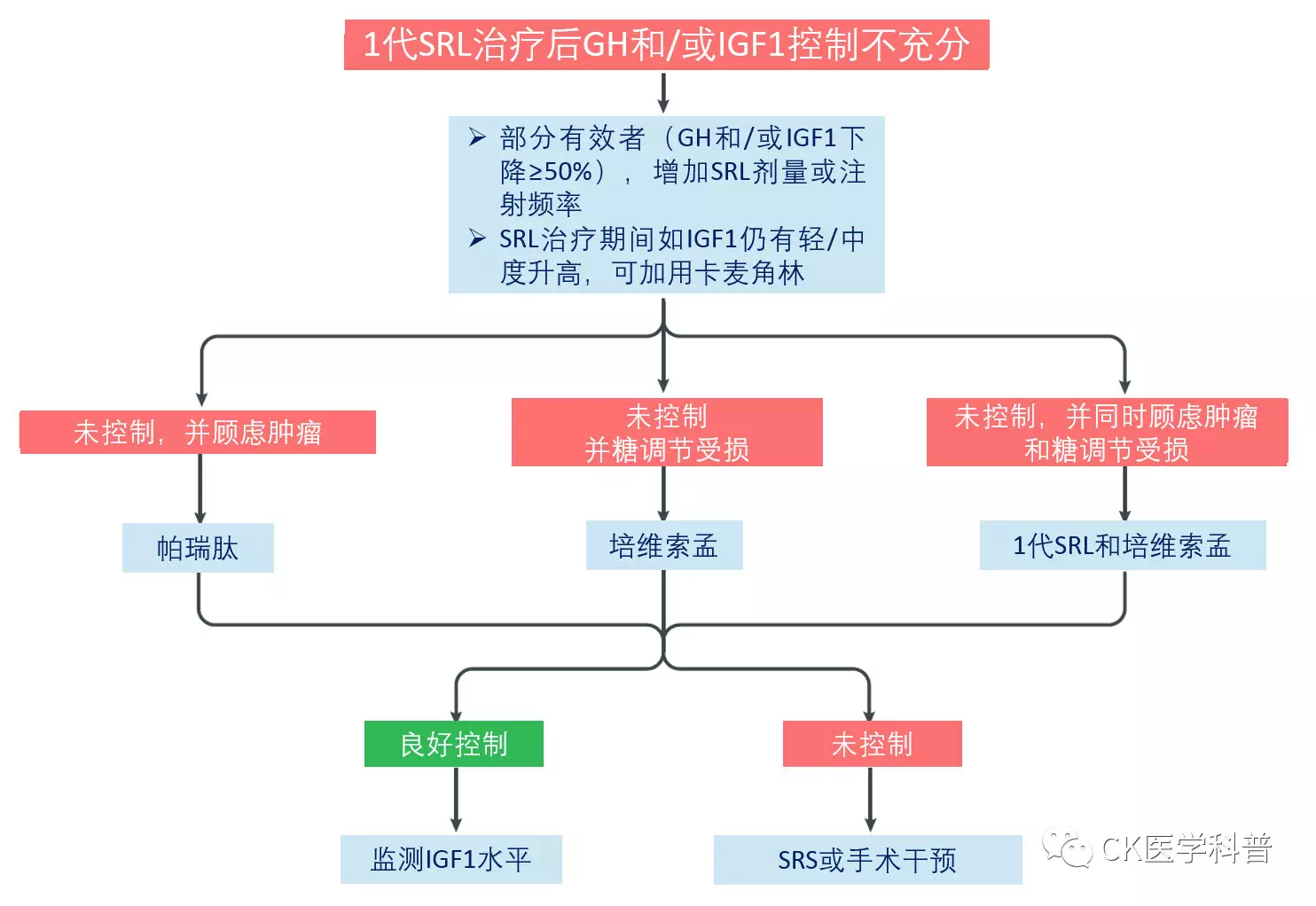 生长抑素机制图片