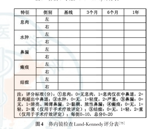 中国慢性鼻窦炎诊断和治疗指南 18 之一