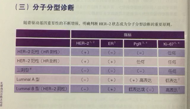 默认图片