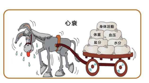 两分钟了解常用心衰药物如何发挥作用 - 好大夫在线
