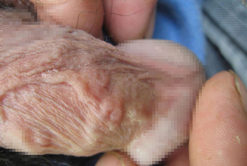 1587711566313010.jpg 11.jpg