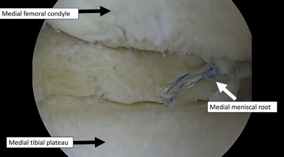 1588683739279743.jpg 截图04.jpg