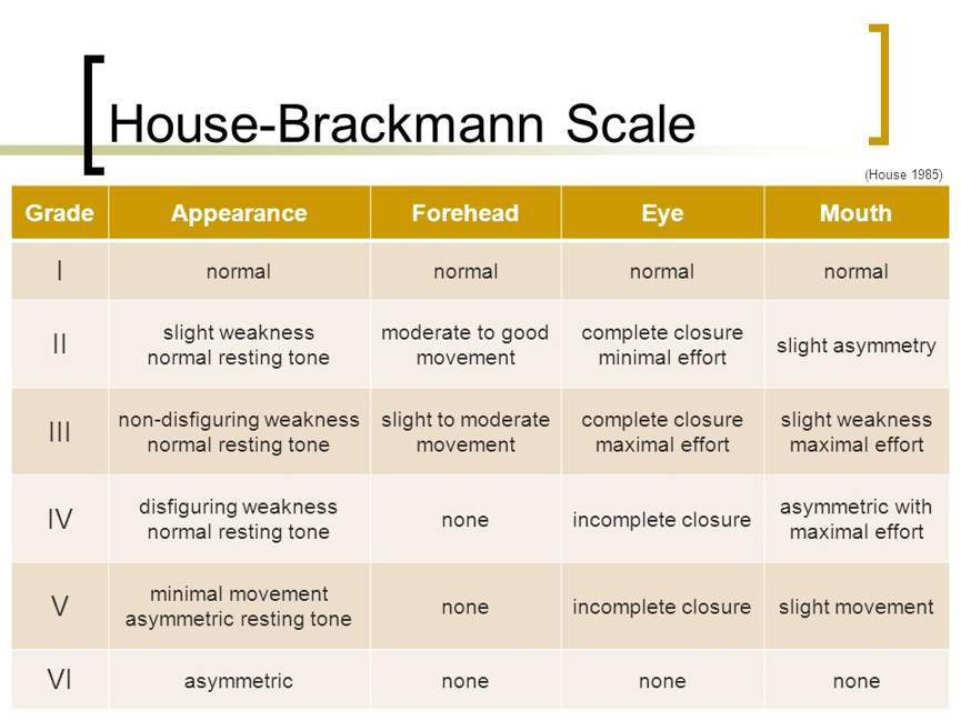 What Are The 3 Medication Checks What Are The 3 Medication Checks