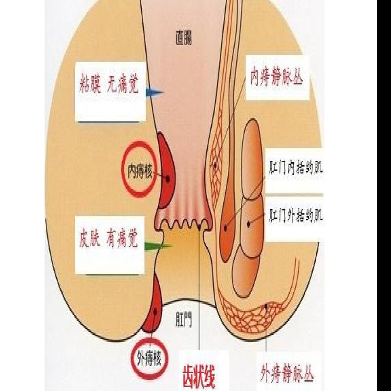 圖文圖片