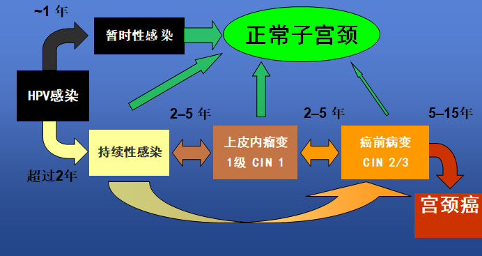 症状宫颈糜烂图片真实_宫颈糜烂症状图片_宫颈糜烂症状图片集