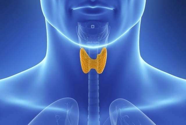 甲状腺癌_介绍_发病原因 - 好大夫在线