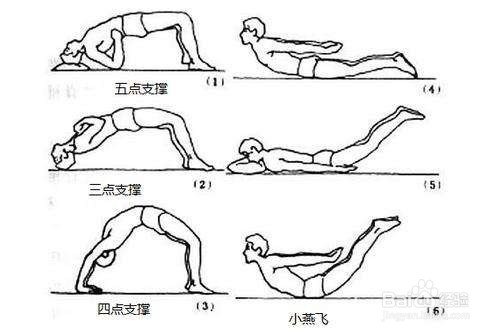 腰背肌锻炼方法图图片