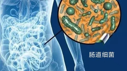 暂无