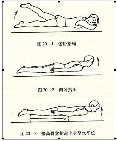 腰椎功能鍛鍊