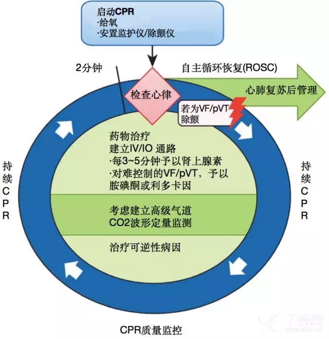 2018aha心肺复苏指南更新要点速读