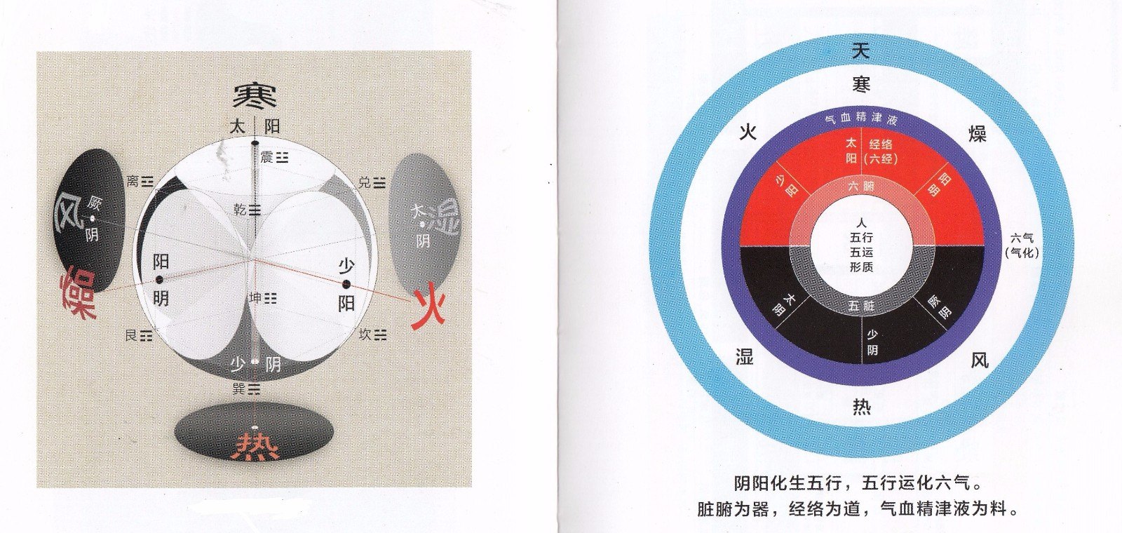 六经气化示意图,六经病欲解时示意图 - 伤感说说吧