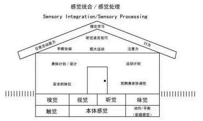 各种感觉刺激有其专有的神经系统来接收及传送,而各方传来的感觉会在