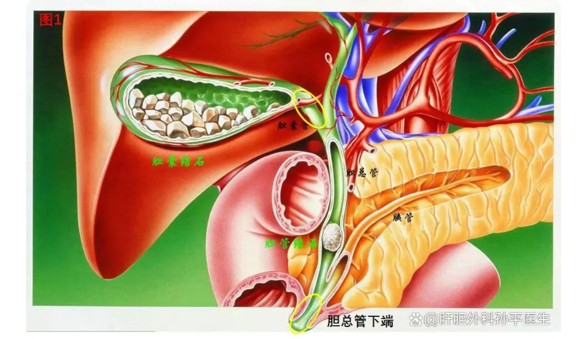 圖文圖片