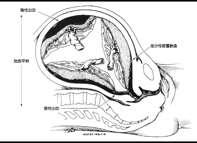 默认图片