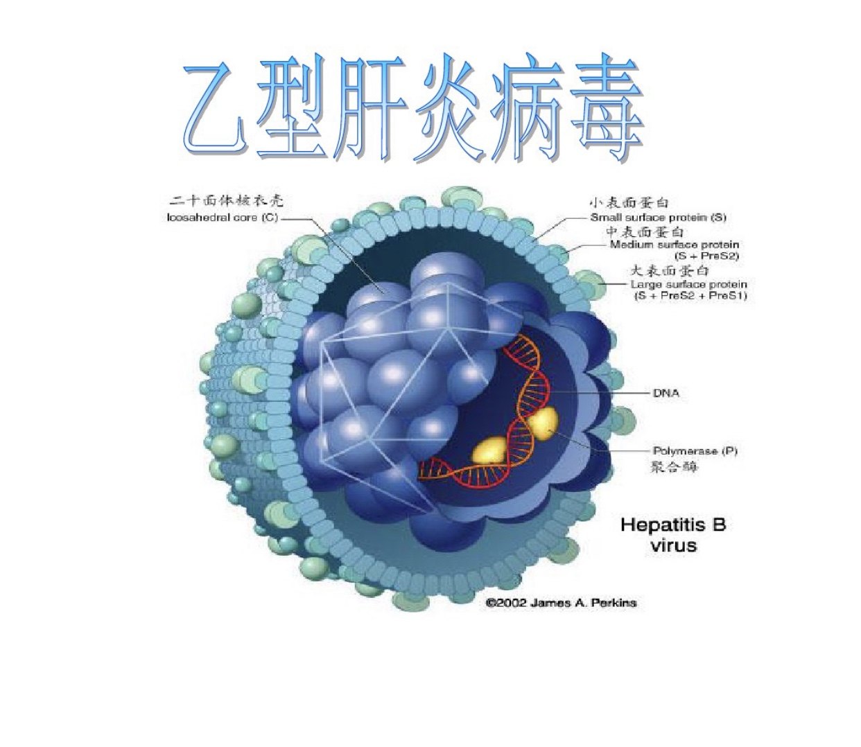暂无