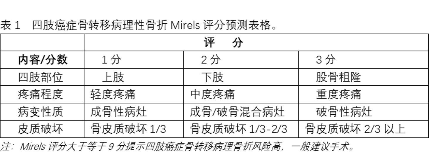 Mirels图片.jpg