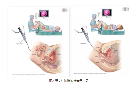 暂无