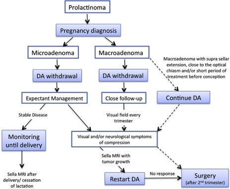 diagnosis and treatment of pituitary adenomasa review.