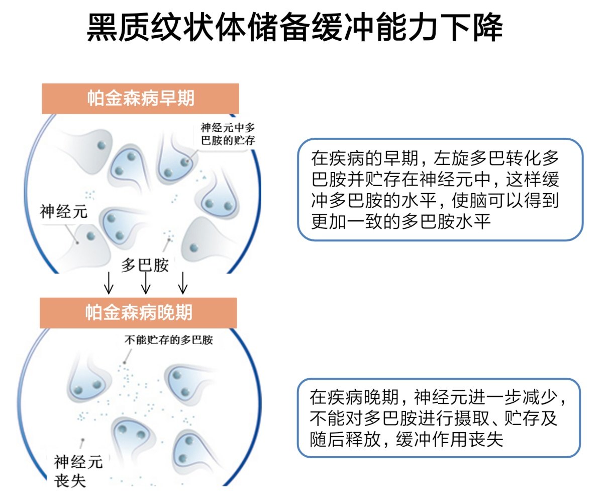 病程長及症狀重的患者:這類病人腦黑質-紋狀體系統的多巴胺細胞比較少