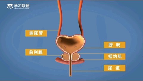 默认图片