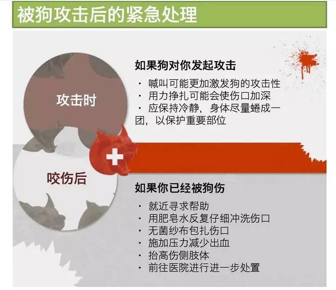 蝙蝠等野生動物均可傳播狂犬病毒,豬,馬,牛,羊等家禽偶爾會被感染髮病