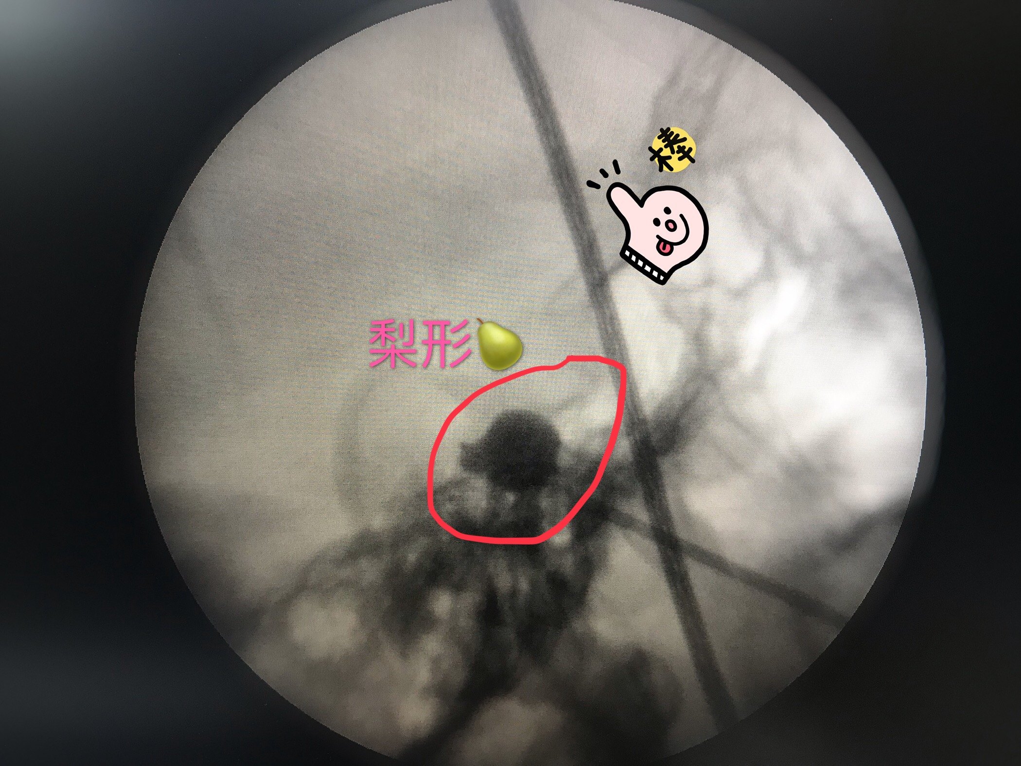 暂无