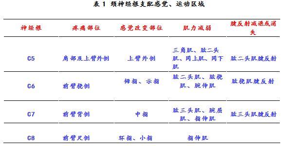 今天不吃鸭脖,一起聊聊人脖的那些事——图解神经根型颈椎病