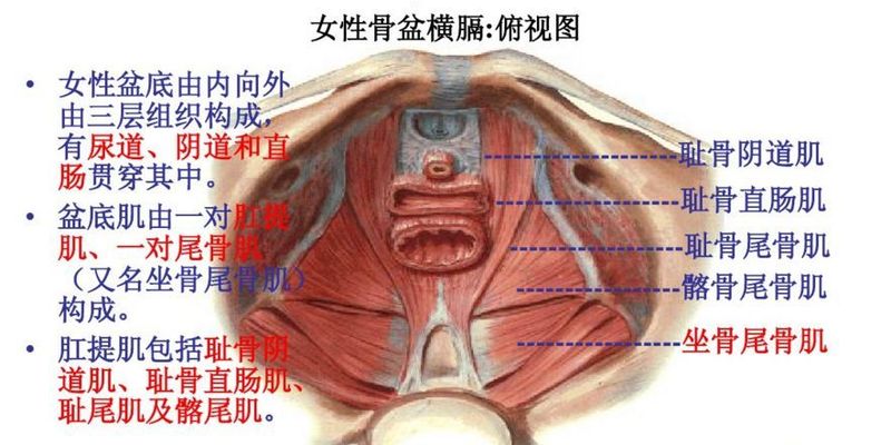 圖文圖片