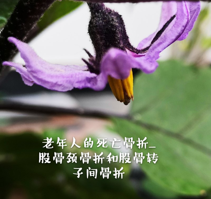 圖文圖片