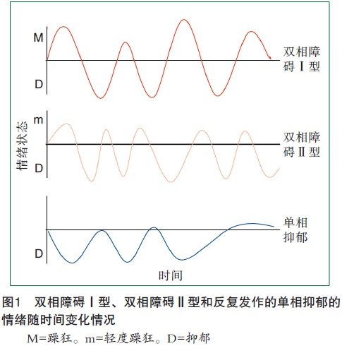 双相2.jpg