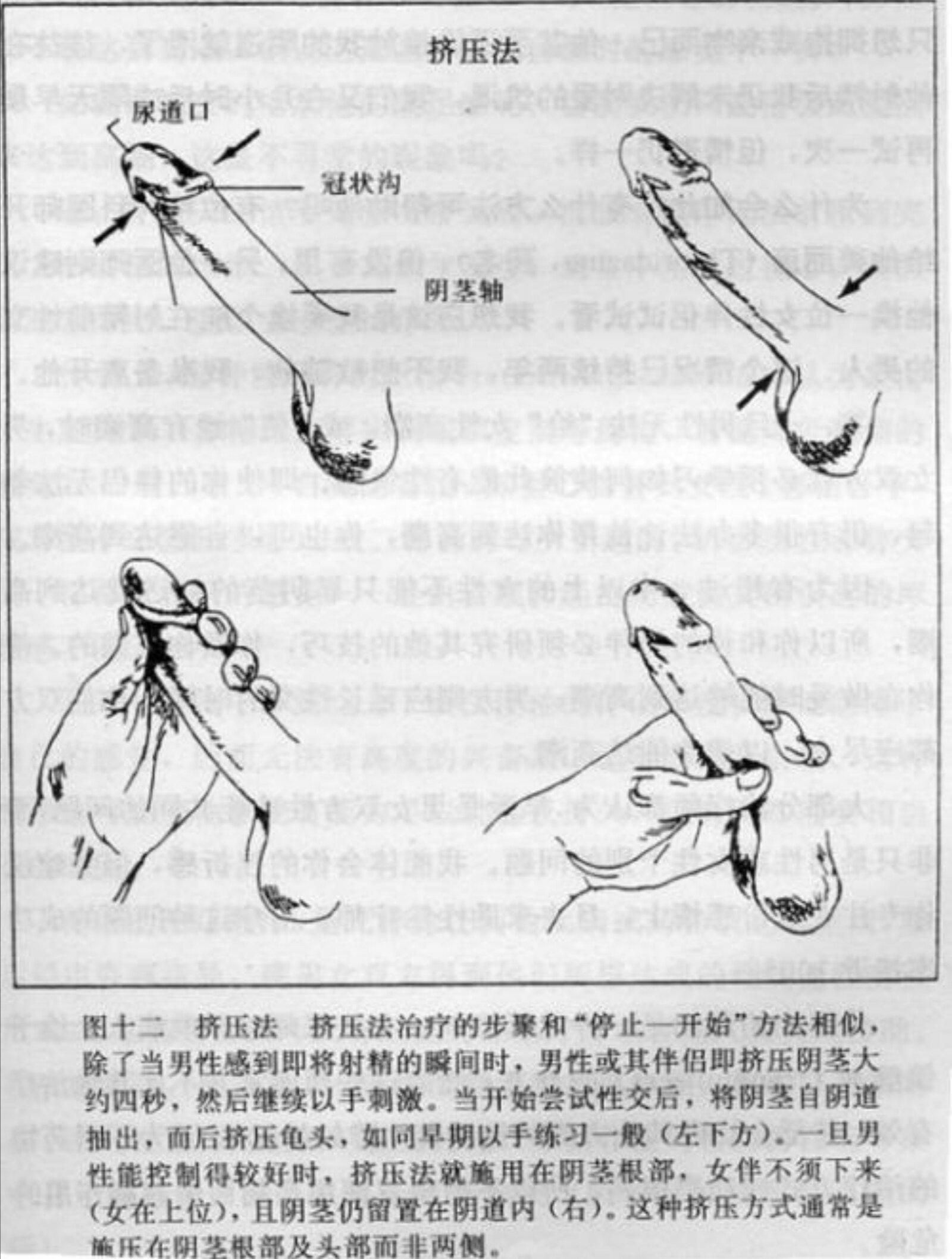 男性延时按摩方法图片图片