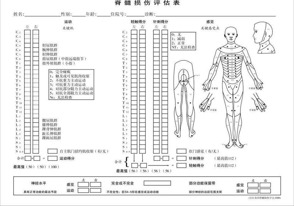 在神經平面以下保留運動功能,且神經平面以下至少一半關鍵肌