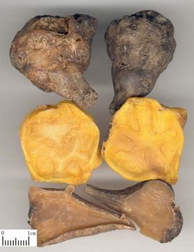 附子的功效及应用 - 好大夫在线