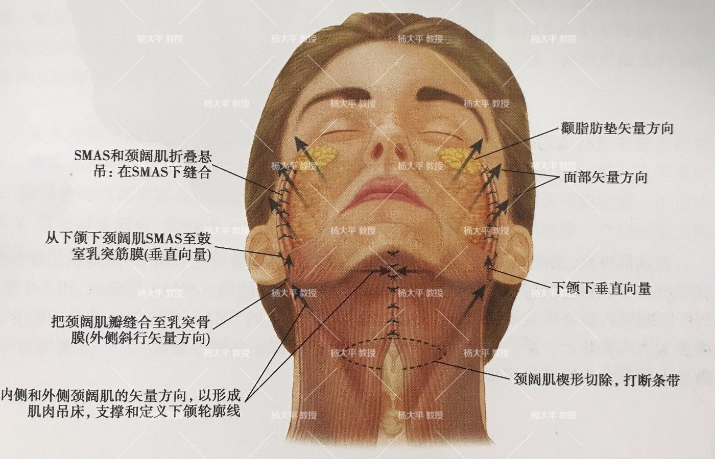 66歲再青春向搖搖欲贅sayno