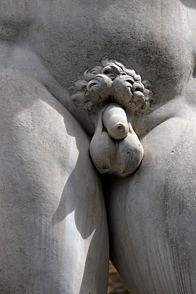 16、为什么说阴囊是睾丸的宿舍和空调?