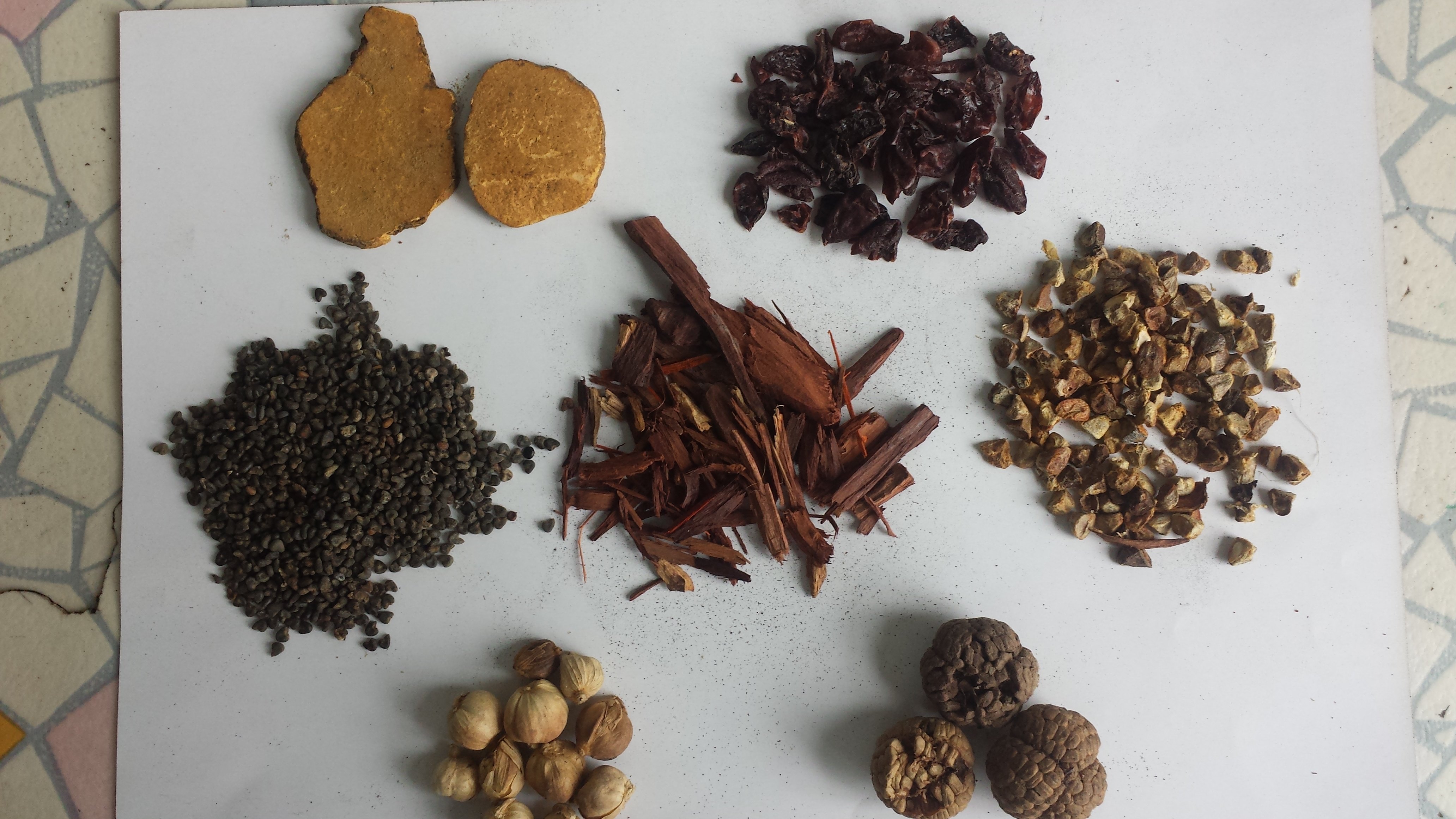 中药辨识练习(4)