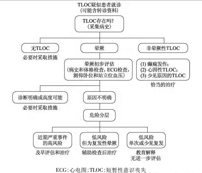 暈厥診斷流程