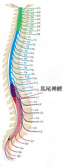 b84d162568cc102a3566df43a8e0cc7f_2523d5adc9bf4bed8557c0b64179f01f.jpg