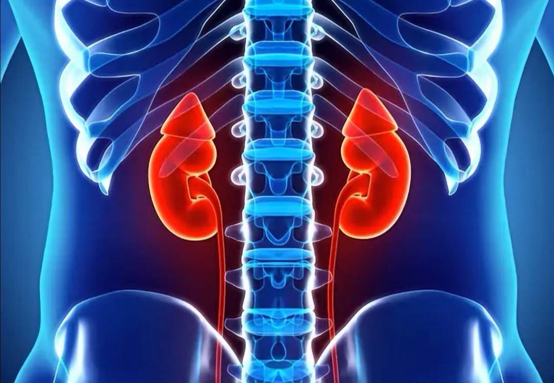 这是最突出的表现,除了手脚冰冷,不暖和,肾阳虚的人,还突出地表现为腰