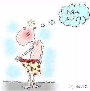 鸡扒照片图片