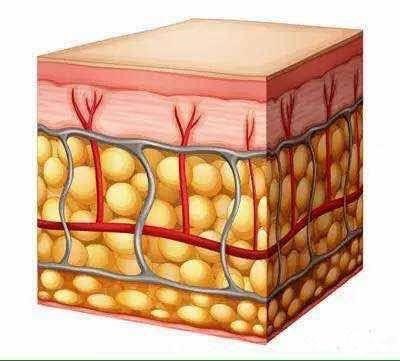 自体脂肪面部填充后恢复_自体面部脂肪填充疼吗_自体脂肪面部填充过多
