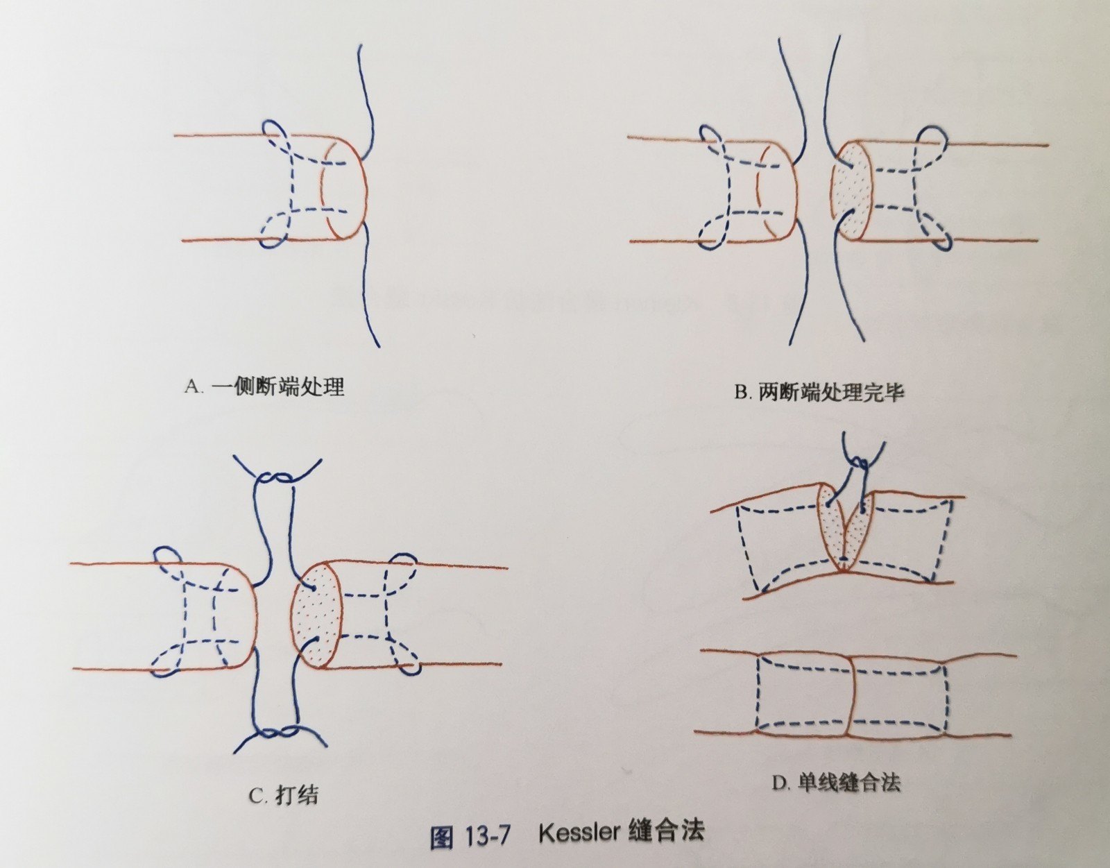 微信图片_20191211194040_conew1.jpg