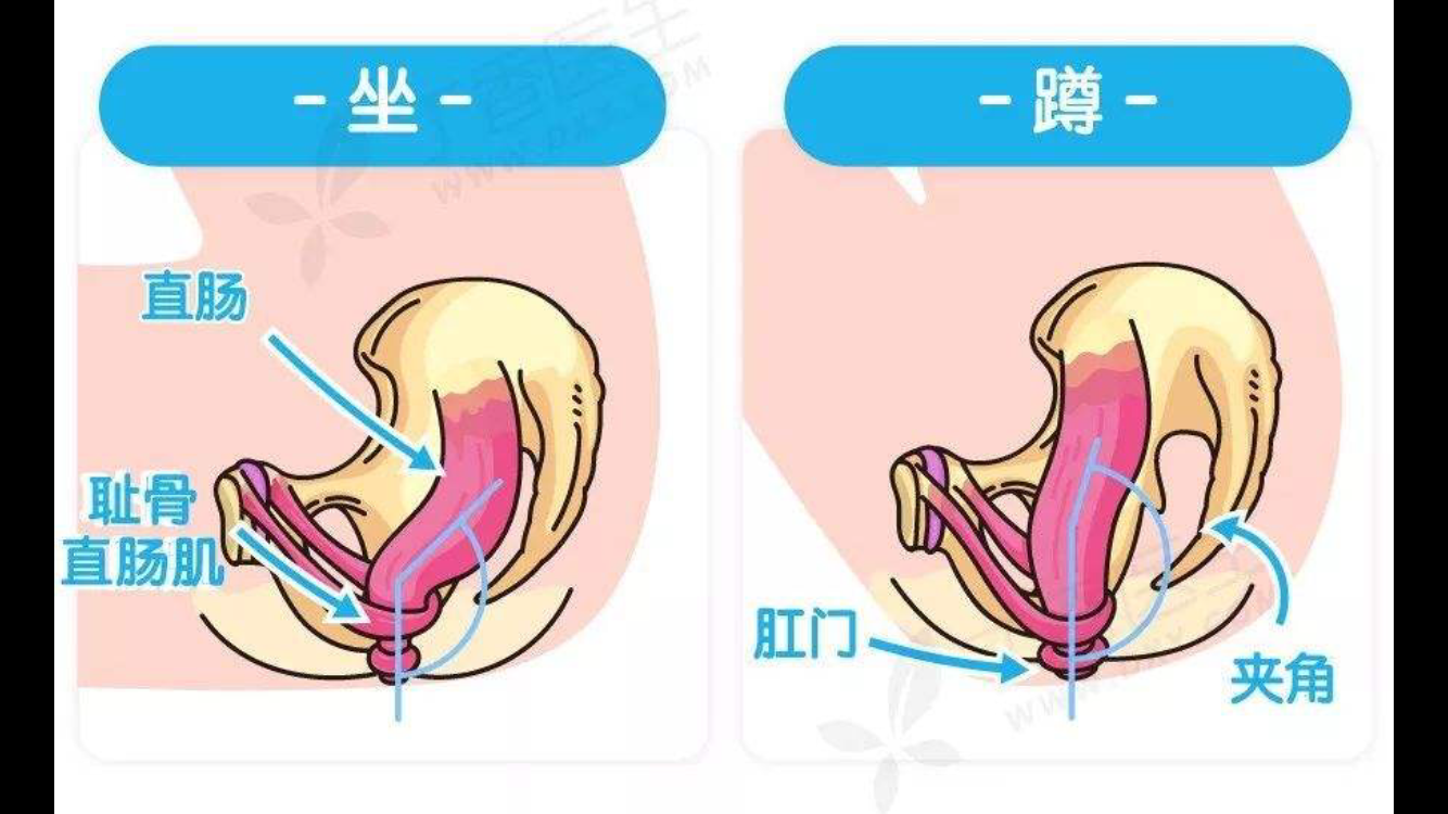 肛肠专家马春耕主任参加全科医师肛肠分会会议并谈论便