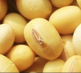 化疗后多久适合手术 wIYBAF5k3Q-AQp0-AAA9ElwMQck878.jpg?_ms_=23de