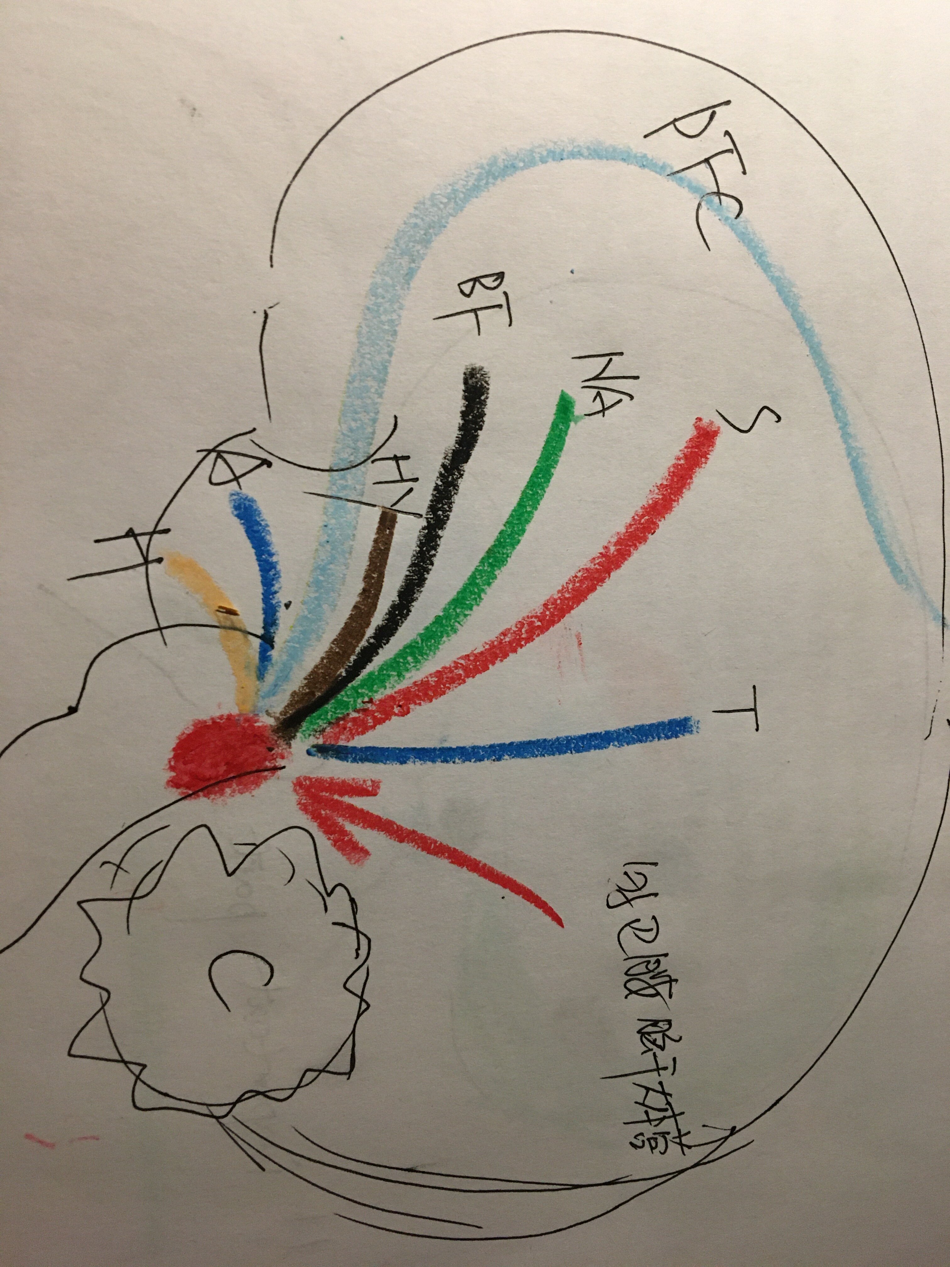 除了大家熟悉的管理呼吸等重要的生命中樞在腦幹,他也是的多巴胺分泌