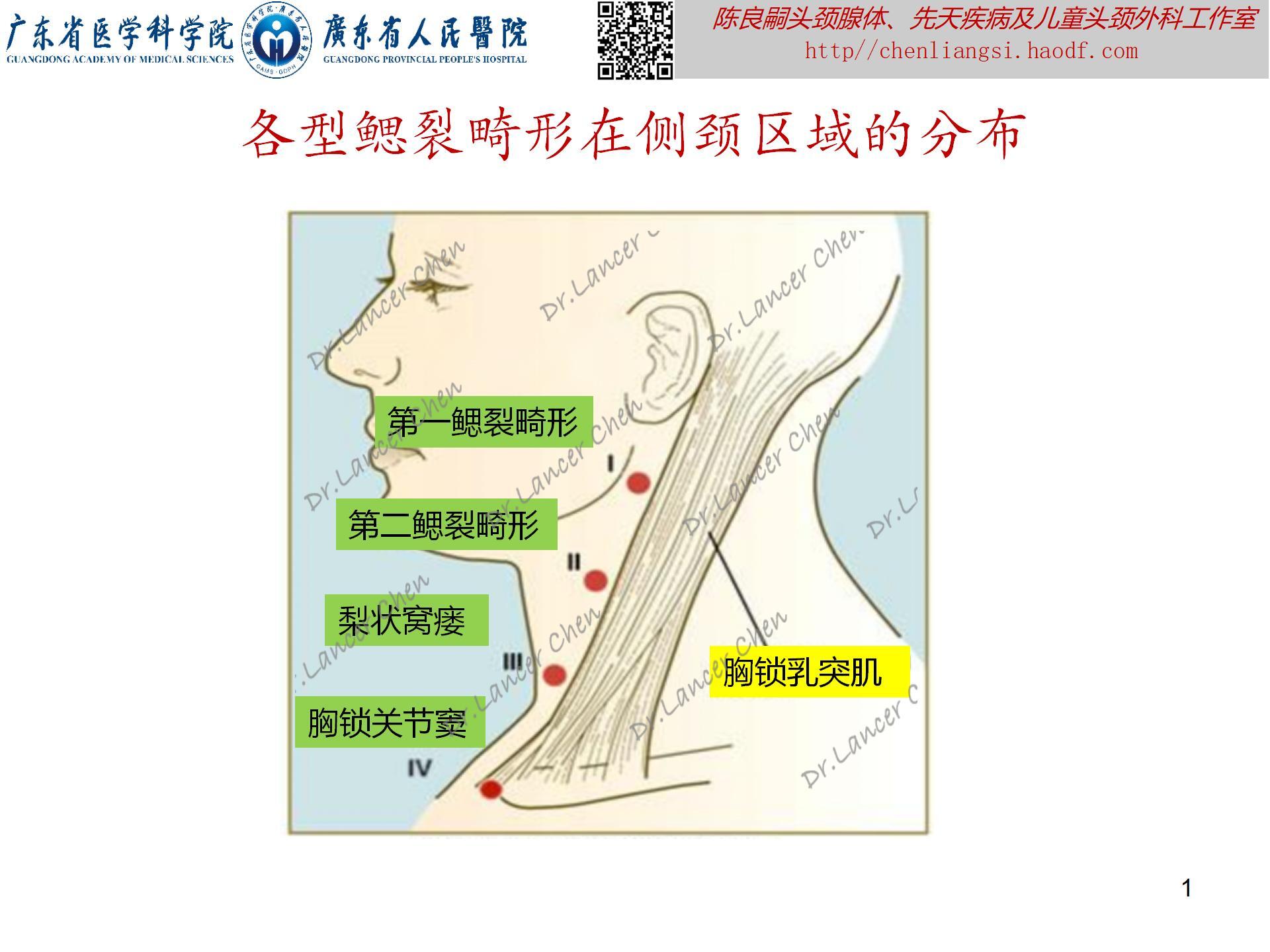 图文图片