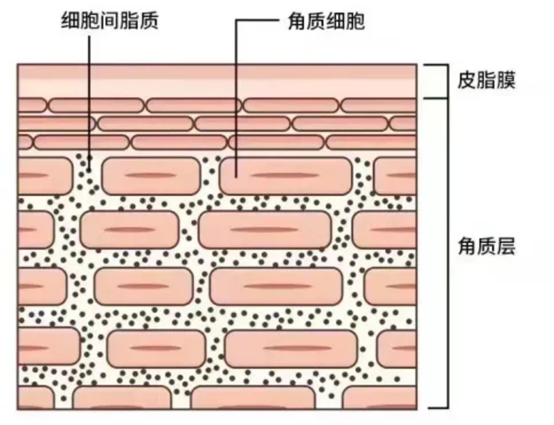 图文图片